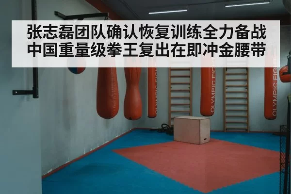 张志磊团队确认恢复训练全力备战 中国重量级拳王复出在即冲金腰带